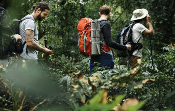 How to Protect Yourself from Malaria